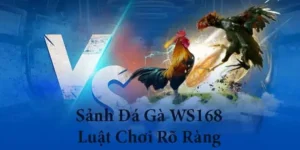 Cách Chơi Đá Gà WS168 Tại HM88 Nhận Thưởng Lớn Ngay Hôm Nay