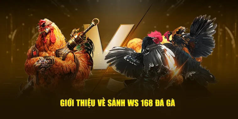 Cách Chơi Đá Gà WS168 Tại HM88 Nhận Thưởng Lớn Ngay Hôm Nay