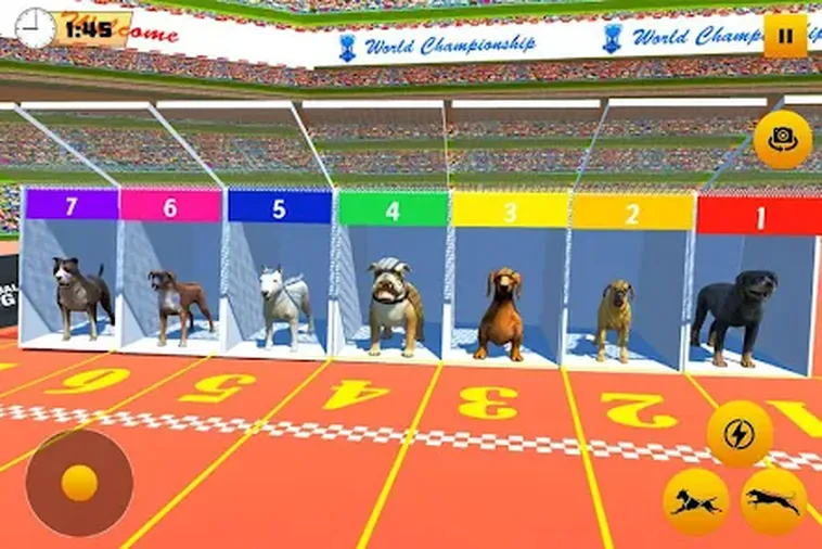 Cách Chơi Game Nhanh Đua Chó Tại HM88 Cực Kỳ Chuyên Nghiệp