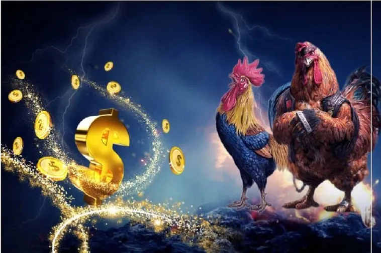 Chinh Phục Sảnh Đá Gà HM88 Nhận Thưởng Lớn Ngay Hôm Nay