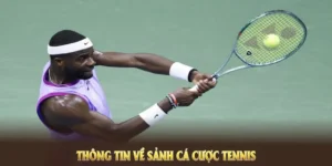 Cá Cược Quần Vợt HM88 Để Làm Chủ Những Ván Đấu Tennis Đỉnh Cao